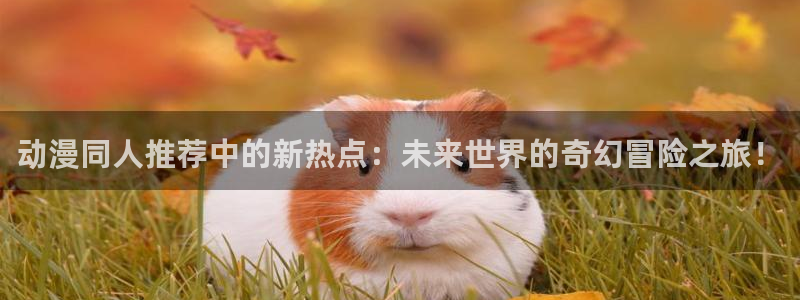 里番动画app