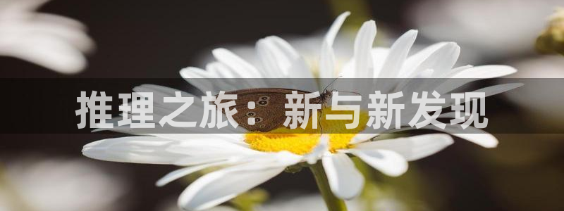 里番库agc漫画：推理之旅：新与新发现
