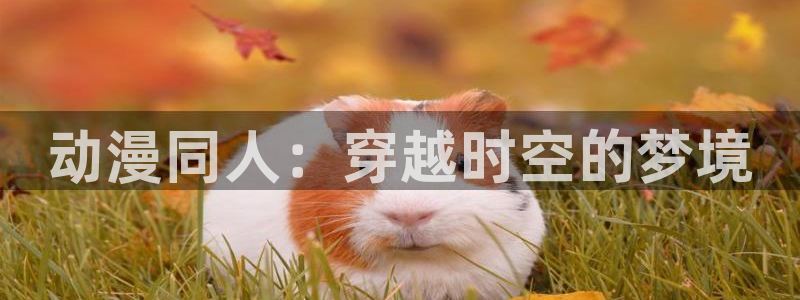 二次元里番动漫：动漫同人：穿越时空的梦境