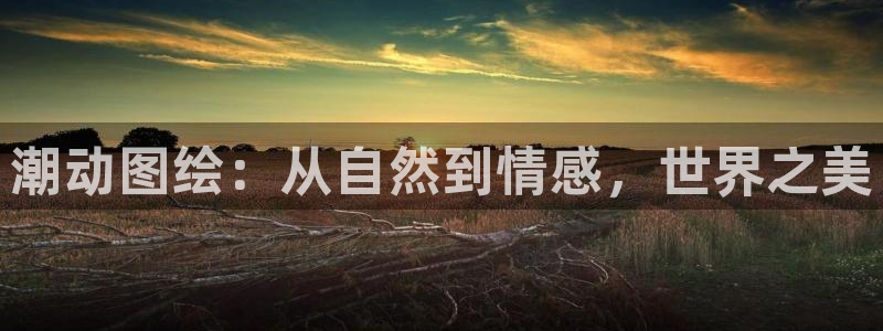 里番漫画排名：潮动图绘：从自然到情感，世界之美