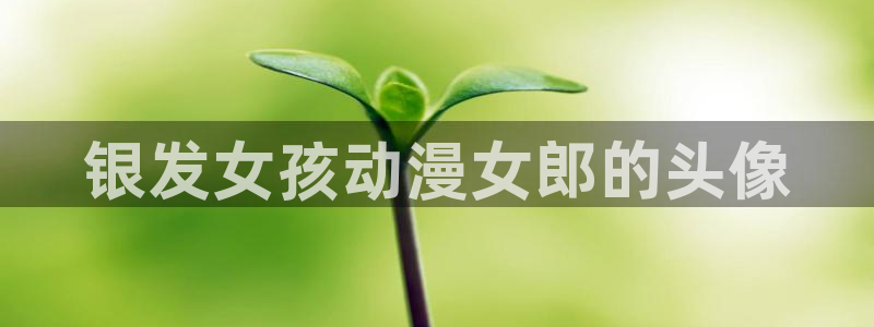 好看的里番动漫推荐：银发女孩动漫女郎的头像