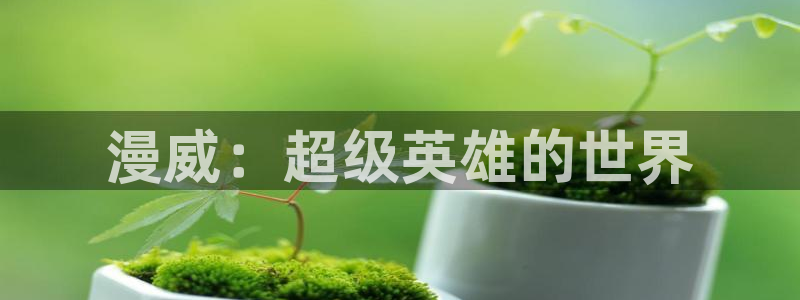 旧里番3d动漫：漫威：超级英雄的世界