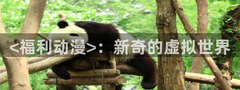 bl里番动漫：<福利动漫>：新奇的虚拟世界
