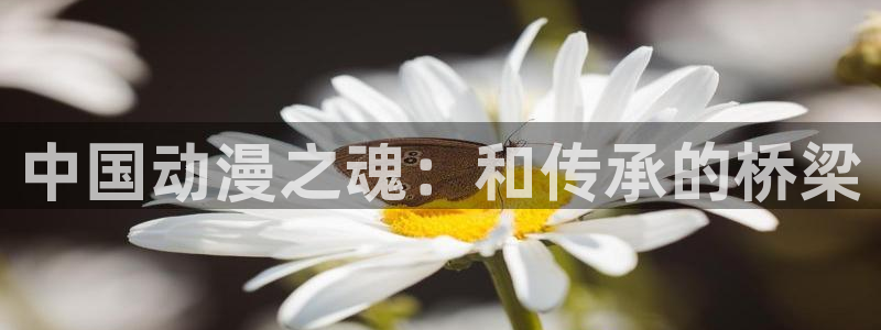 海外里番动漫：中国动漫之魂：和传承的桥梁
