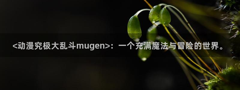 bl里番漫画：<动漫究极大乱斗mugen>：一个充满魔法与冒险的世界。