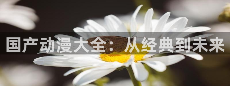 动漫最新里番：国产动漫大全：从经典到未来