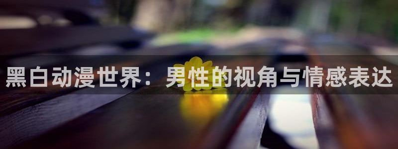 旧里番 动漫：黑白动漫世界：男性的视角与情感表达