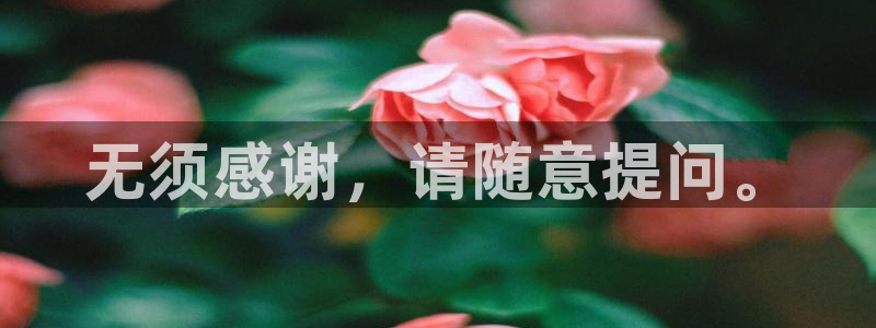 里番风车动漫