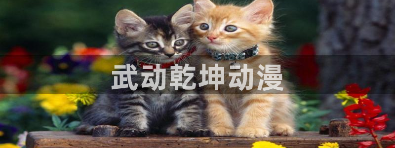 m 里番漫画