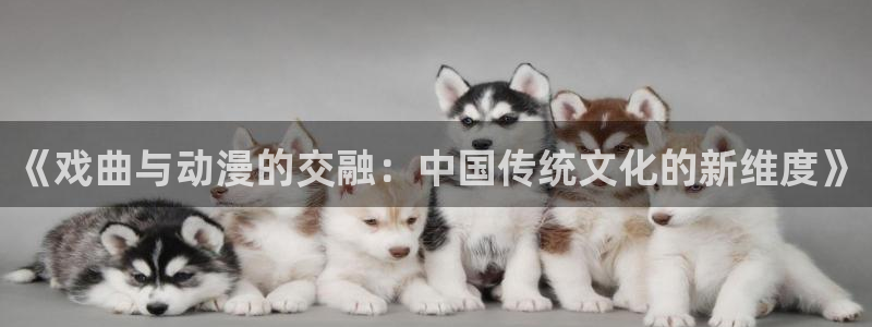 动漫里番