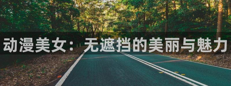 优质里番