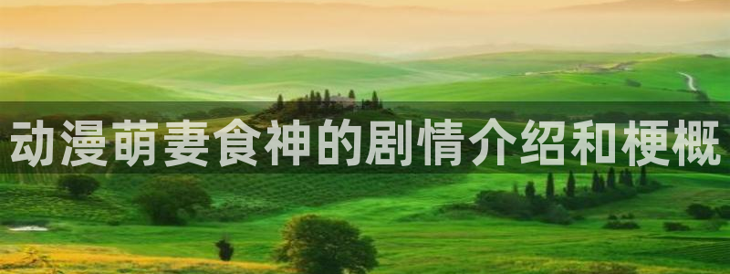 里番动漫是什么?
