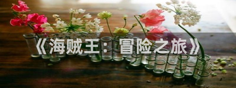 里番动画网站