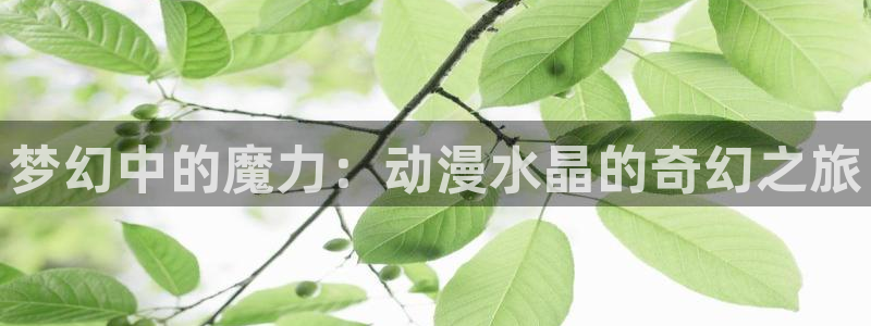 里番动漫在哪个软件：梦幻中的魔力：动漫水晶的奇幻之旅