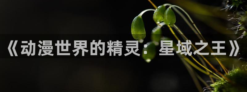 漫画里番acg：《动漫世界的精灵：星域之王》