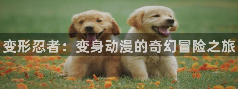 5月里番动漫：变形忍者：变身动漫的奇幻冒险之旅