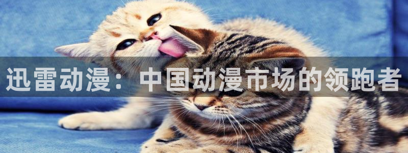 里番动漫acg网：迅雷动漫：中国动漫市场的领跑者